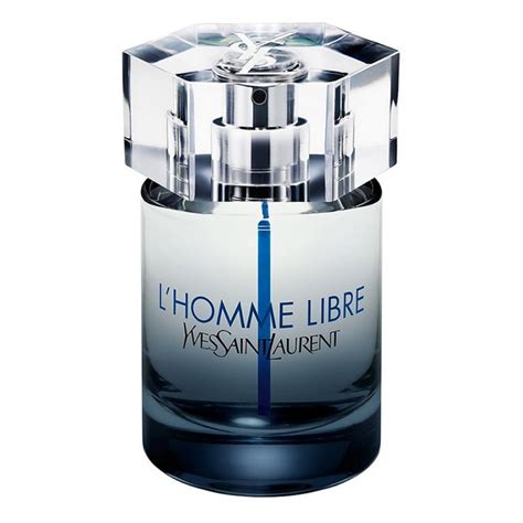 homme libre ysl 100 ml|YSL l'homme for men.